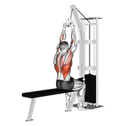 Animated demonstration of the cable lateral pulldown with v-bar