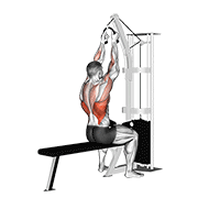 Animated demonstration of the cable lateral pulldown (with rope attachment)