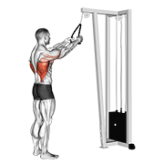 Animated demonstration of the cable straight arm pulldown (with rope)