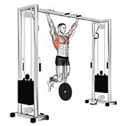 Animated demonstration of the weighted pull-up