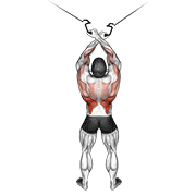 Animated demonstration of the cable cross-over lateral pulldown
