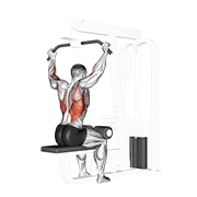 Animated demonstration of the cable rear pulldown