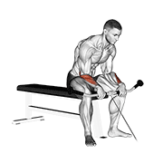 Animated demonstration of the cable reverse wrist curl