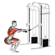 Animated demonstration of the cable squat row (with rope attachment)