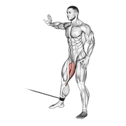 Animated demonstration of the cable hip adduction