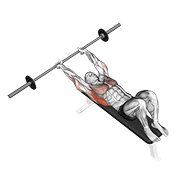 Animated demonstration of the barbell pullover