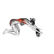 Animated demonstration of the roller back stretch