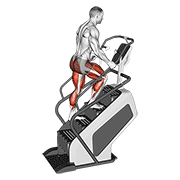 Animated demonstration of the walking on stepmill