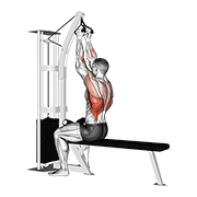 Animated demonstration of the cable seated high row (v-bar)