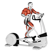 Animated demonstration of the walk elliptical cross trainer