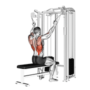 Animated demonstration of the twin handle parallel grip lat pulldown